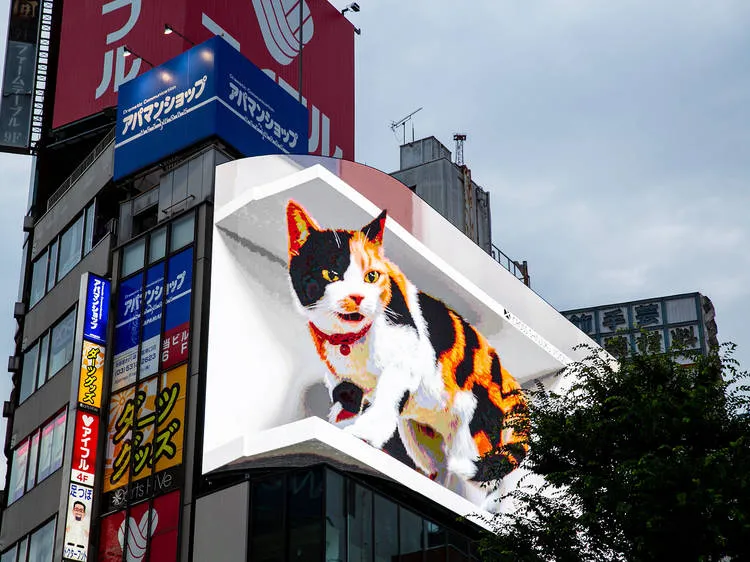 Anamorphic Billboard 3D. (Keisuke Tanigawa/timeout.com)
